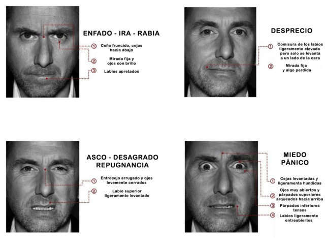 Expresiones faciales. Kinesia. Tim Roth. Lie to me.