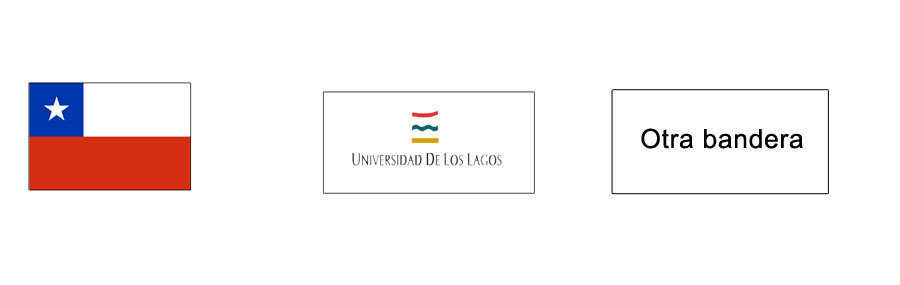 Bandera de Chile, de la universidad y otra bandera