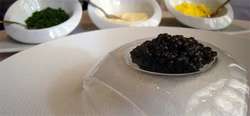 Caviar servido en un plato con forma.
