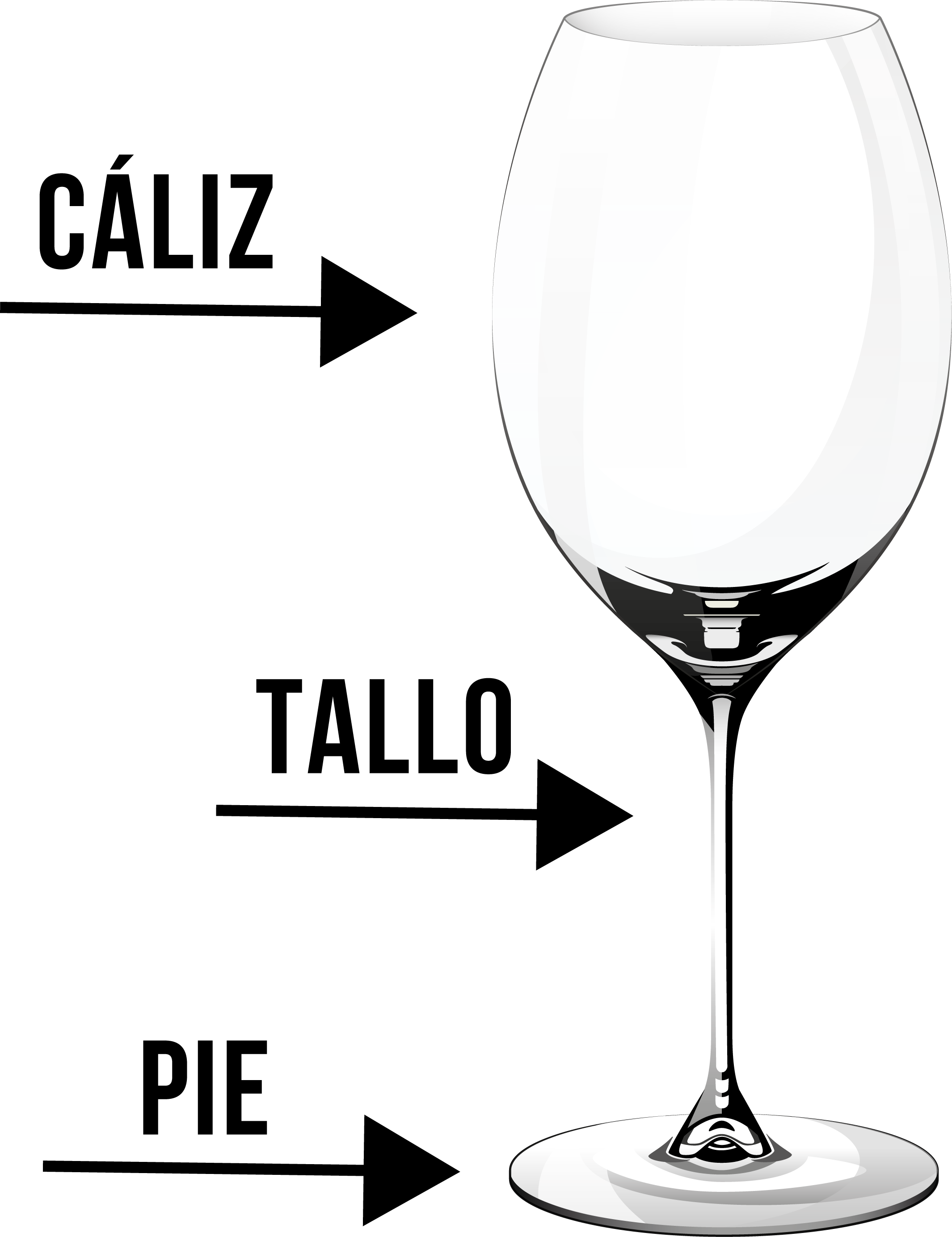 Partes principales de una copa de vino