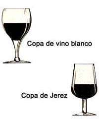 Copa Vino Blanco - Copa Jerez.